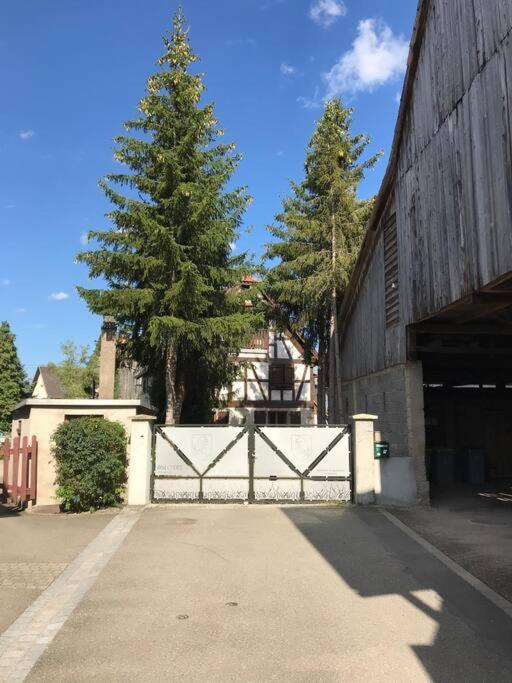 Paisible Logement Tout Equipe Pour 1 A 6 Personnes Ebersheim Luaran gambar